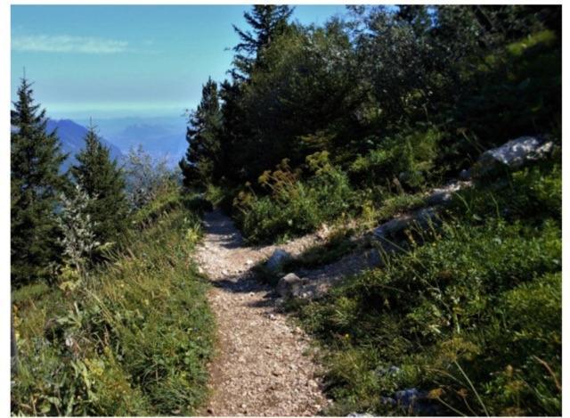 Grenoble Sud Varces Suite Privatisee Au Pied Des Montagnes Exterior foto